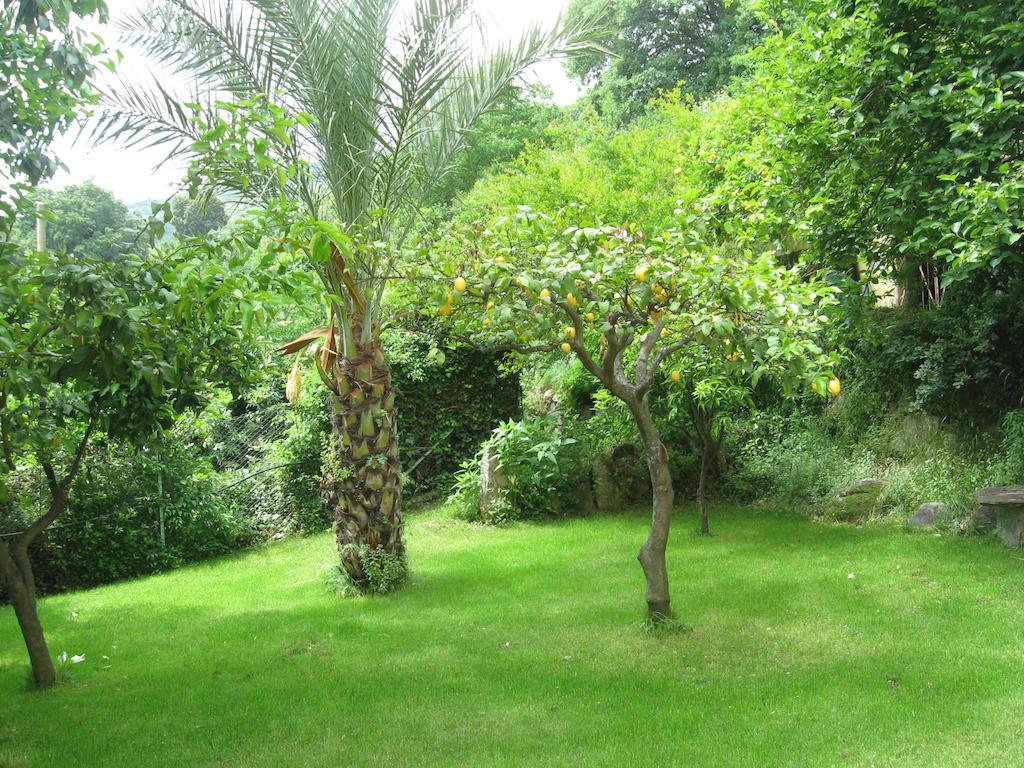 Bed and Breakfast Le Roverelle Ilbono Exteriér fotografie